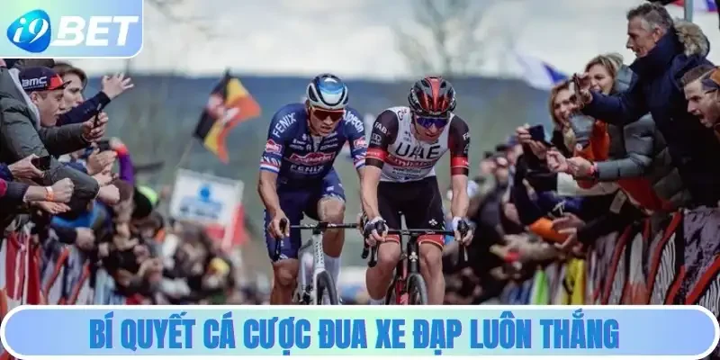 Bí quyết cá cược đua xe đạp luôn thắng
