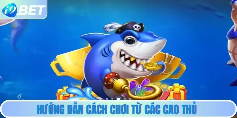 Hướng dẫn cách chơi từ các cao thủ